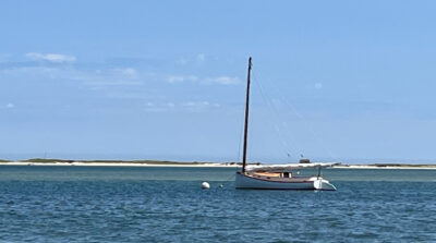 Cape Cod’s Clean Energy Push: Securing Independence While Protecting Nature
